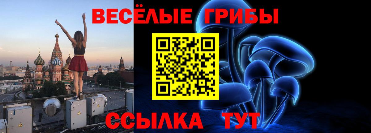 Галлюциногенные грибы мухоморы Серов